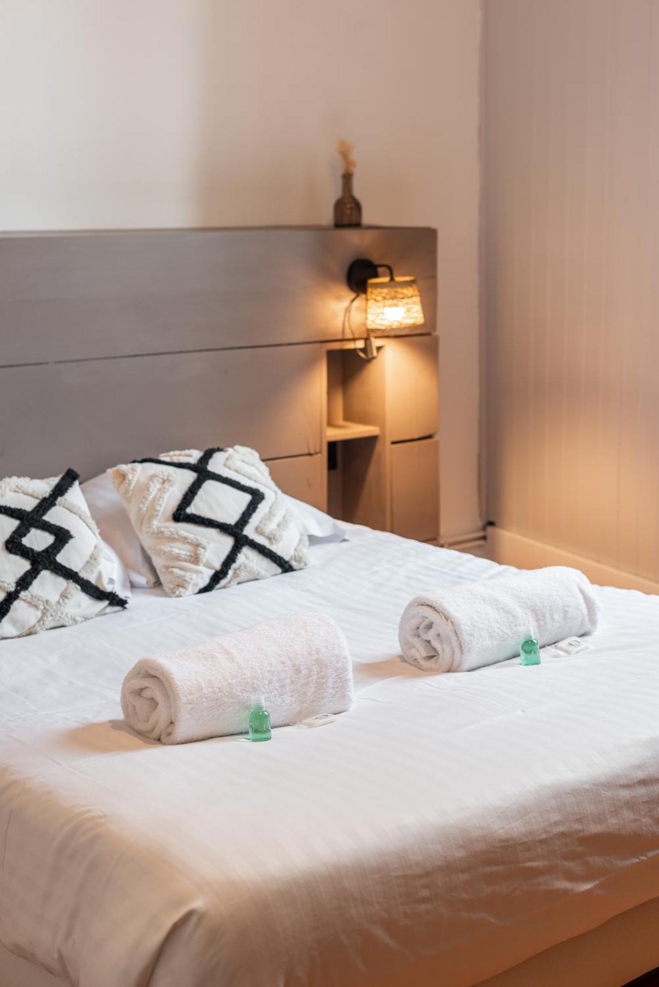 Appartement Spacieux Et Chaleureux Coeur De Ville Chambéry Buitenkant foto